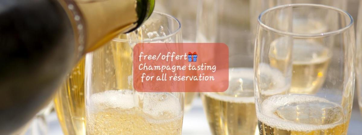 Les Loges Du Theatre Degustation Champagne Offerte Jacuzzi Sauna Jeux Velos Maison Prive 150M2 Historique 14Pers Max Emplacement Exceptionnel Et Chic, 200M De L'Avenue De Champagne, Gare, Musee, Jardins, Restaurations, Toutes Commodites Épernay Esterno foto
