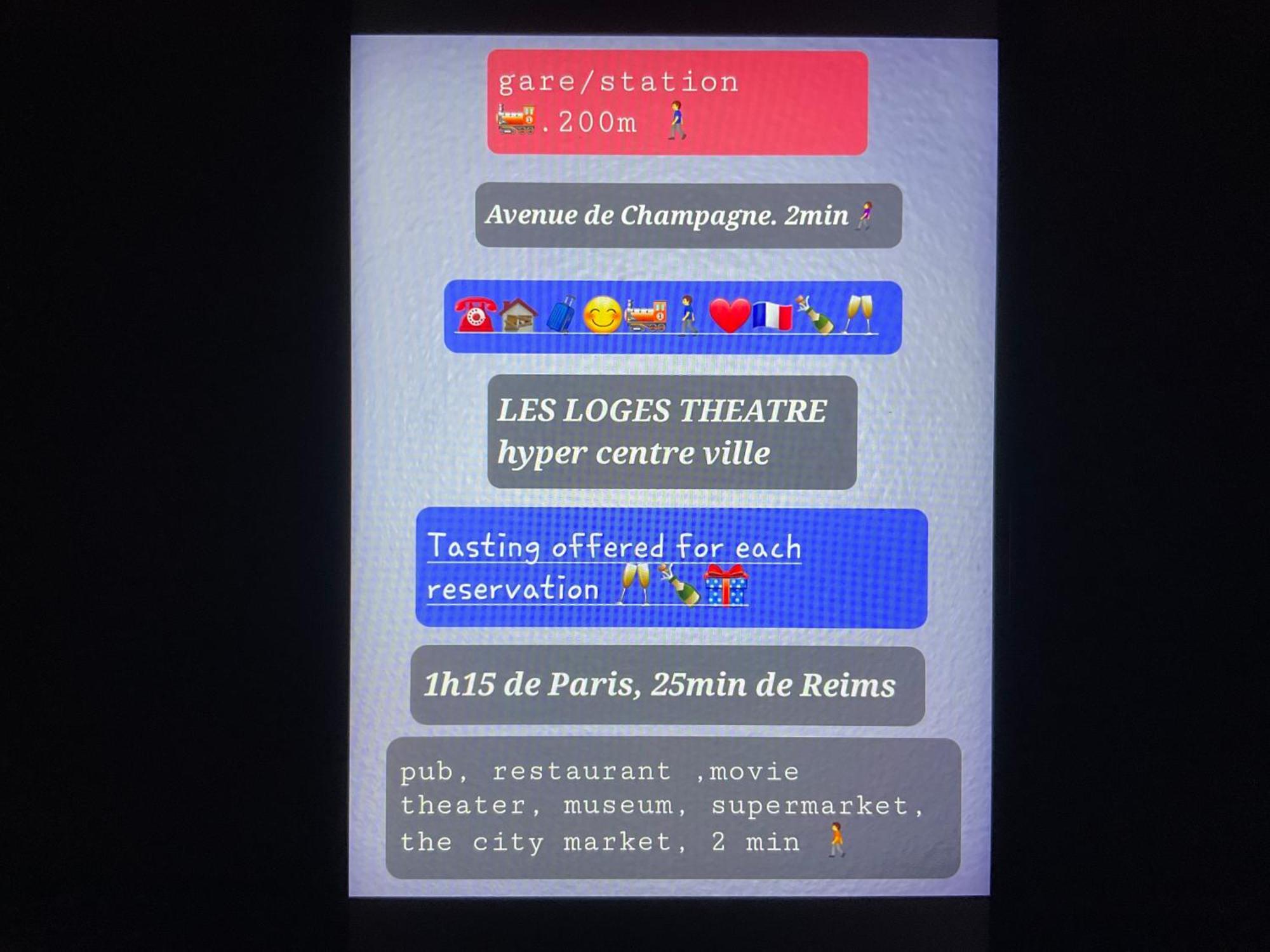 Les Loges Du Theatre Degustation Champagne Offerte Jacuzzi Sauna Jeux Velos Maison Prive 150M2 Historique 14Pers Max Emplacement Exceptionnel Et Chic, 200M De L'Avenue De Champagne, Gare, Musee, Jardins, Restaurations, Toutes Commodites Épernay Esterno foto