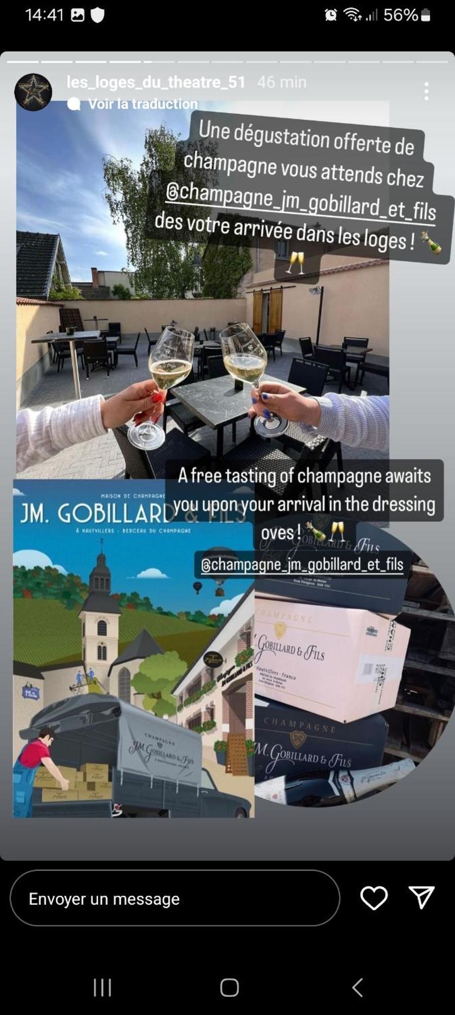 Les Loges Du Theatre Degustation Champagne Offerte Jacuzzi Sauna Jeux Velos Maison Prive 150M2 Historique 14Pers Max Emplacement Exceptionnel Et Chic, 200M De L'Avenue De Champagne, Gare, Musee, Jardins, Restaurations, Toutes Commodites Épernay Esterno foto