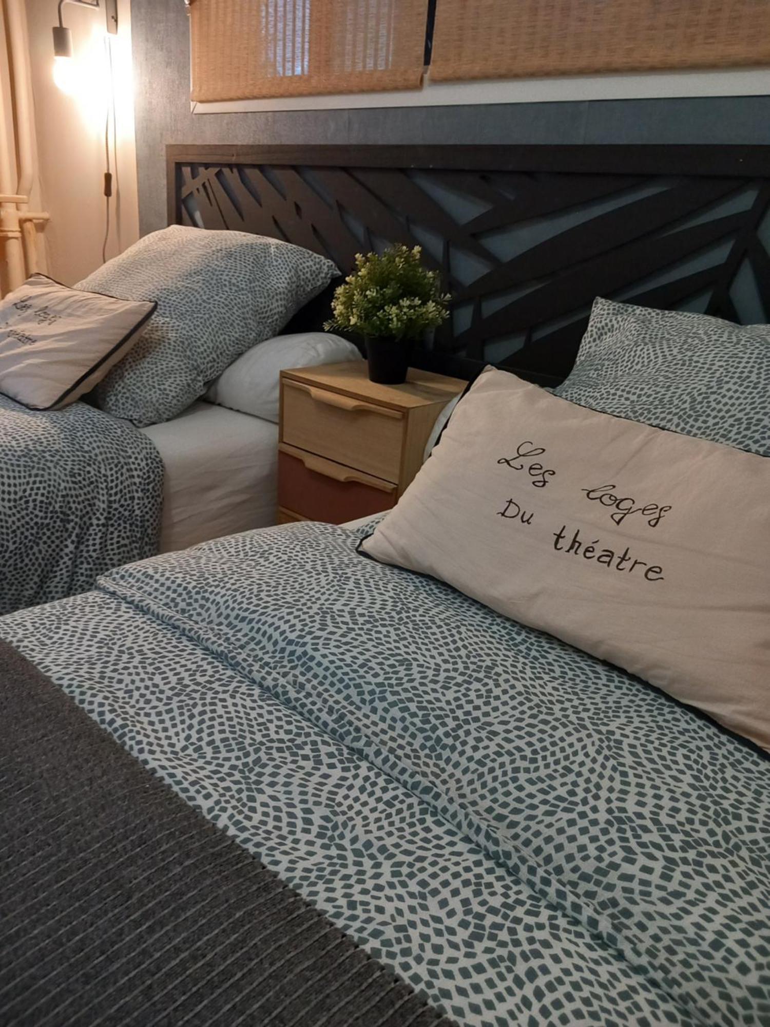Les Loges Du Theatre Degustation Champagne Offerte Jacuzzi Sauna Jeux Velos Maison Prive 150M2 Historique 14Pers Max Emplacement Exceptionnel Et Chic, 200M De L'Avenue De Champagne, Gare, Musee, Jardins, Restaurations, Toutes Commodites Épernay Esterno foto