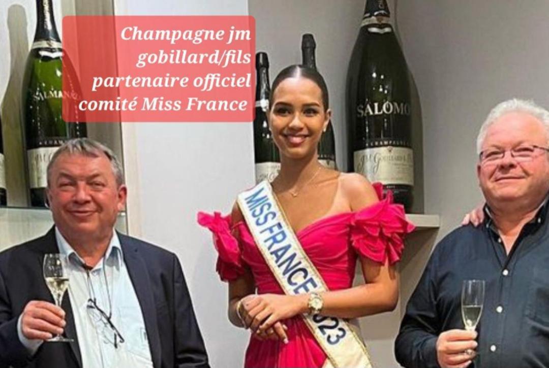 Les Loges Du Theatre Degustation Champagne Offerte Jacuzzi Sauna Jeux Velos Maison Prive 150M2 Historique 14Pers Max Emplacement Exceptionnel Et Chic, 200M De L'Avenue De Champagne, Gare, Musee, Jardins, Restaurations, Toutes Commodites Épernay Esterno foto